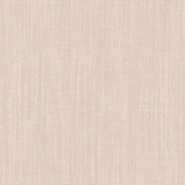 Aristide - Isolde - 215 Champagne