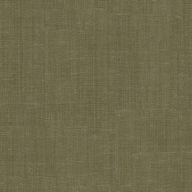 Aristide - Isolde - 720 Endive