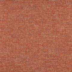 Aristide - John - 370 Pumpkin