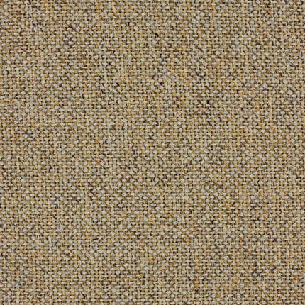 Aristide - Juniper - 360 Amber