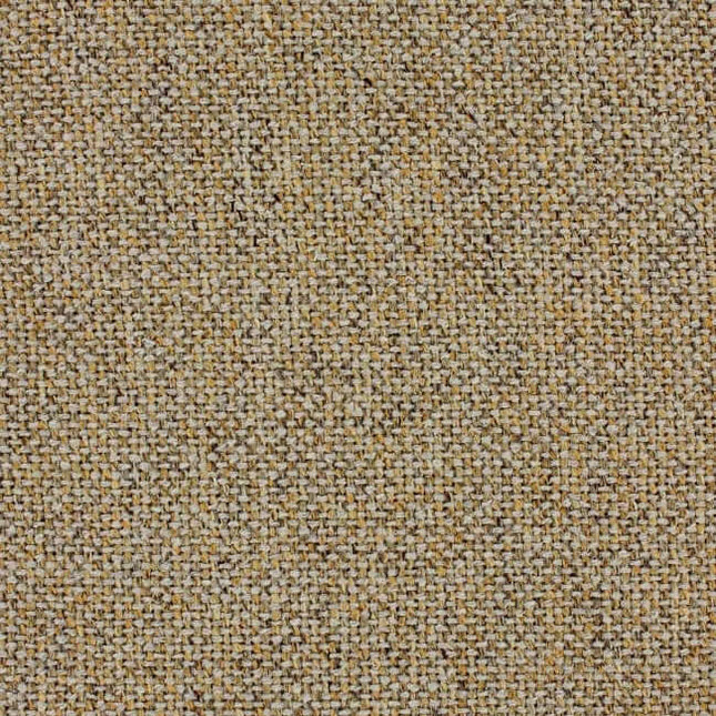 Aristide - Juniper - 360 Amber