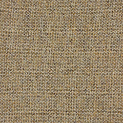 Aristide - Juniper - 360 Amber