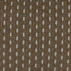 Aristide - Lili - 360 Amber