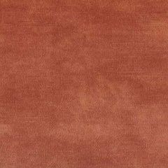 Aristide - Markle - 410 Coral