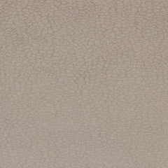 Aristide - Miles - 223 Oatmeal