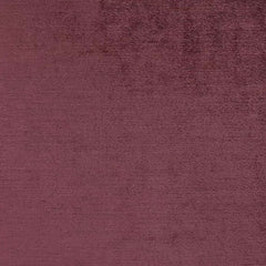 Aristide - Napoleon - 500 Rose Dust