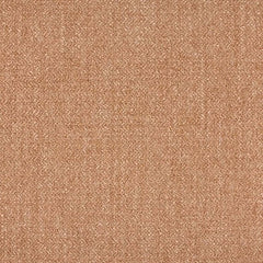 Aristide - Nara - 400 Salmon