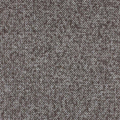 Aristide - Remus - 260 Cafe