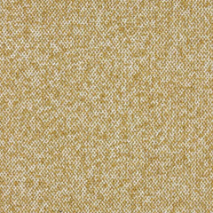 Aristide - Remus - 350 Ochre