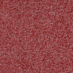 Aristide - Remus - 545 Ruby