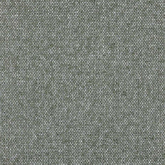 Aristide - Remus - 765 Olive