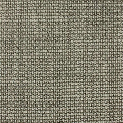 Aristide - Tokyo - 256 Mushroom