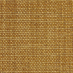 Aristide - Tokyo - 345 Mustard