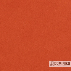 Agua - Finezza - F18 - Chilli