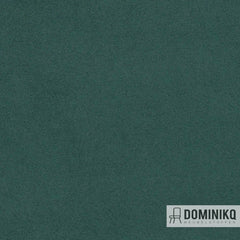 Agua - Finezza - F23 - Forest