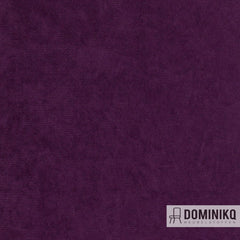 Agua - Libra - LI12 - Purple