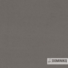 Agua - Primeira - P20 - Dolphin