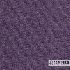 Agua - Sark - SA20 - Purple