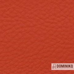 Vyva Fabrics - Bella Grana - 3624 - Persimmon