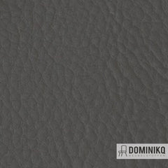 Vyva Fabrics - Bella Grana - 4704 - Elephant