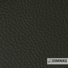 Vyva Fabrics - Bella Grana - 4708 - Hunter