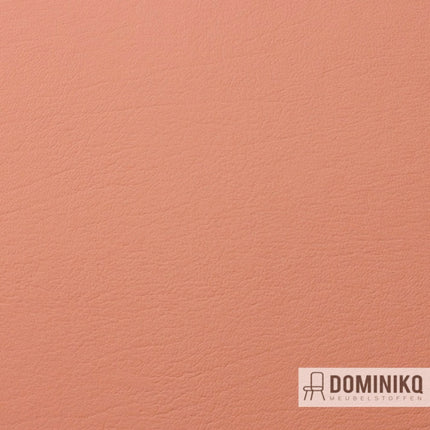 Vyva Fabrics - Boltaflex - 454345 - Apricot