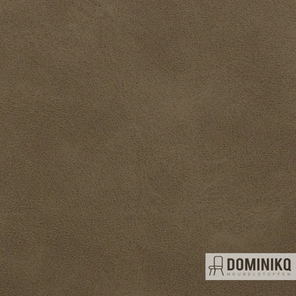 Vyva Fabrics - Cambridge - 4204 - Woodbine