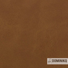 Vyva Fabrics - Cambridge - 4209 - Waylan