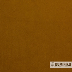 Vyva Fabrics - Glade Smooth - 3445 - Butternut