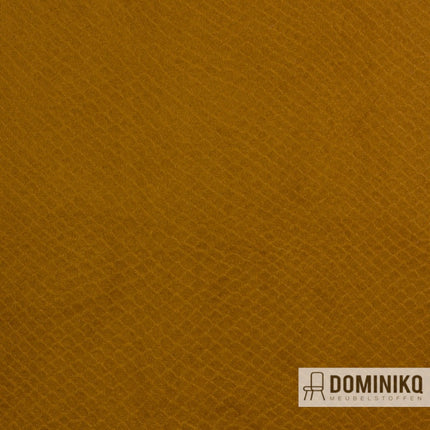 Vyva Fabrics - Glade Stamp - 3471 - Butternut