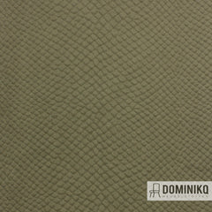 Vyva Fabrics - Glade Stamp - 3472 - Hedge