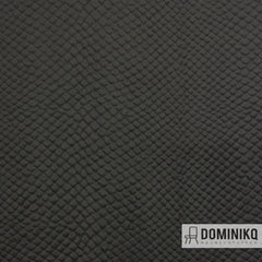 Vyva Fabrics - Glade Stamp - 3475 - Bison