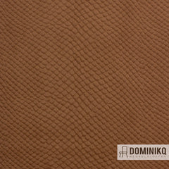 Vyva Fabrics - Glade Stamp - 3479 - Aztec