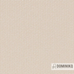 Vyva Fabrics - Globe - 2380 Tusk