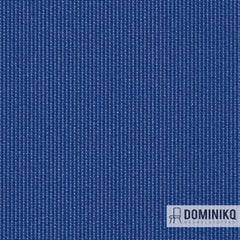 Vyva Fabrics - Globe - 2396 Indigo