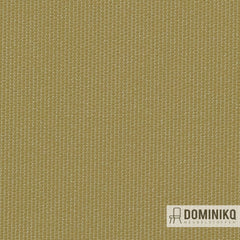 Vyva Fabrics - Globe - 2399 Hetch