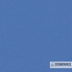 Vyva Fabrics - Globe - 2428 Skyway