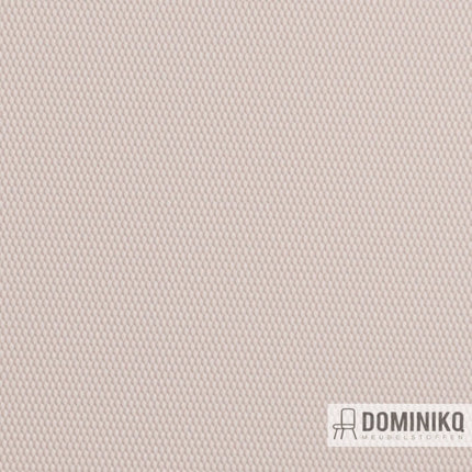 Vyva Fabrics - Globe - 2456 Pale Smoke