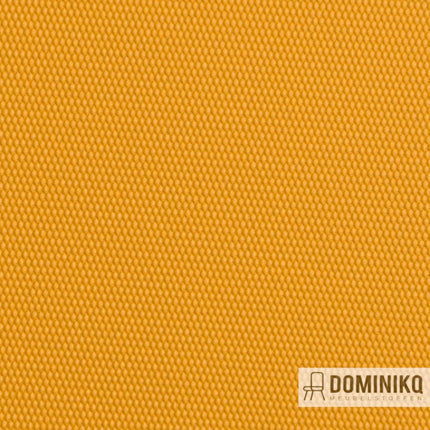 Vyva Fabrics - Globe - 2457 Penny