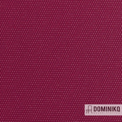 Vyva Fabrics - Globe - 2460 Octopus