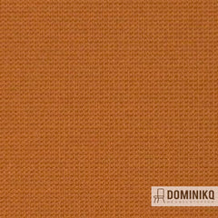 Vyva Fabrics - Legend - 2275 - Adobe