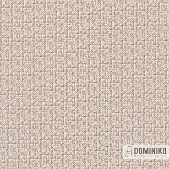 Vyva Fabrics - Beacon - 541893 - Champagne