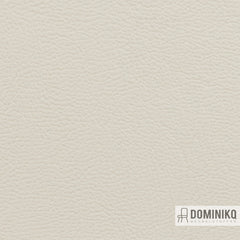 Vyva Fabrics - Maritime - 0006 - Champagne