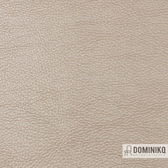 Vyva Fabrics - Popolare - 4221 - Pecorino