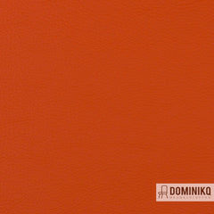 Vyva Fabrics - Popolare - 4244 - Aperolo