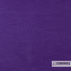 Vyva Fabrics - Popolare - 4254 - Frisky