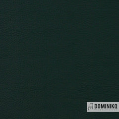 Vyva Fabrics - Popolare - 4266 - Zucca Kabocha