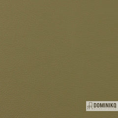 Vyva Fabrics - Popolare - 4268 - Oliva