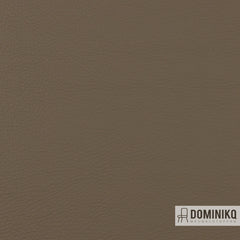 Vyva Fabrics - Popolare - 4270 - Funghi