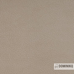 Vyva Fabrics - Valencia - 107-1020 - Ivory